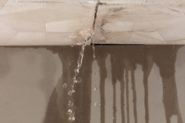 Professional Burst Pipe Cleanup technician working in Elberta, MI